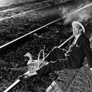 Światła variete - galeria zdjęć - filmweb