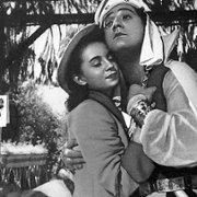 Biały szejk - galeria zdjęć - filmweb