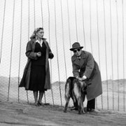 I vitelloni - galeria zdjęć - filmweb
