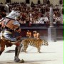 Gladiator - galeria zdjęć