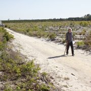 Bloodworth - galeria zdjęć - filmweb