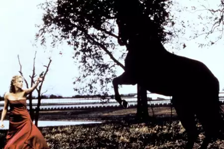 Simpatico - galeria zdjęć - filmweb