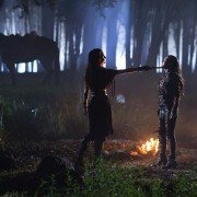 Kroniki Shannary - galeria zdjęć - filmweb
