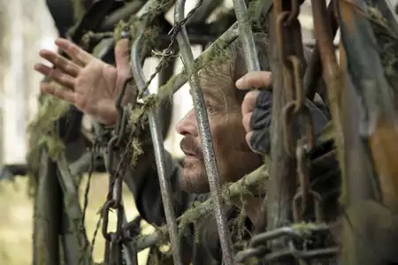 Kroniki Shannary - galeria zdjęć - filmweb