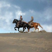 Kroniki Shannary - galeria zdjęć - filmweb