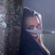 Kroniki Shannary - galeria zdjęć - filmweb