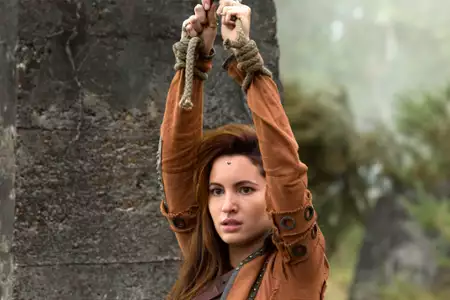 Kroniki Shannary - galeria zdjęć - filmweb