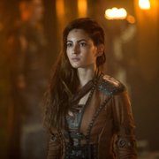 Kroniki Shannary - galeria zdjęć - filmweb