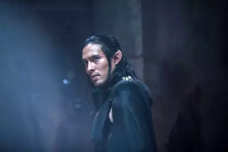 Kroniki Shannary - galeria zdjęć - filmweb