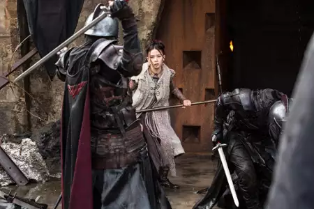 Kroniki Shannary - galeria zdjęć - filmweb