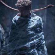 Kroniki Shannary - galeria zdjęć - filmweb