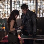 Kroniki Shannary - galeria zdjęć - filmweb