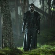 Kroniki Shannary - galeria zdjęć - filmweb