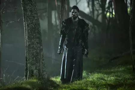 Kroniki Shannary - galeria zdjęć - filmweb