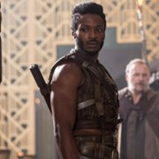 The Shannara Chronicles - galeria zdjęć - filmweb
