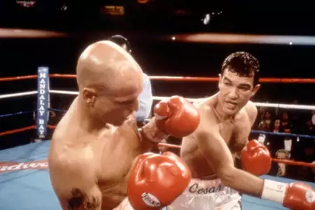 Kumpel do bicia - galeria zdjęć - filmweb