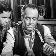 Gwiazda szeryfa - galeria zdjęć - filmweb
