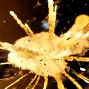 Titan A.E. - galeria zdjęć - filmweb