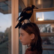 Penguin Bloom: Niesamowita historia Sam Bloom - galeria zdjęć - filmweb