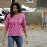 Diary of the Dead - galeria zdjęć - filmweb