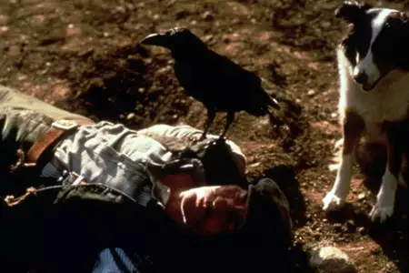 Folwark zwierzęcy - galeria zdjęć - filmweb