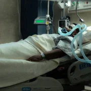 Mayor of Kingstown - galeria zdjęć - filmweb