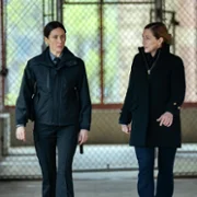 Burmistrz Kingstown - galeria zdjęć - filmweb