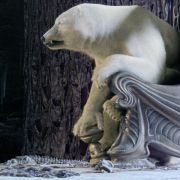 The Golden Compass - galeria zdjęć - filmweb