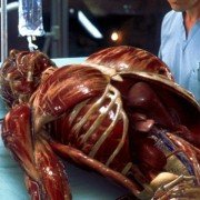 Hollow Man - galeria zdjęć - filmweb