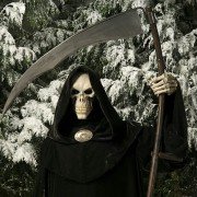 Hogfather - galeria zdjęć - filmweb