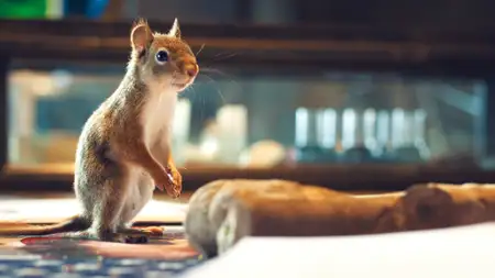 Zmiennokształtni 2 - galeria zdjęć - filmweb