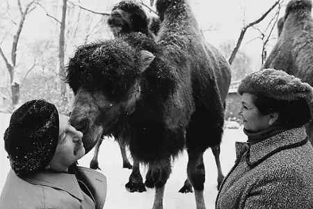 Duże zwierzę - galeria zdjęć - filmweb