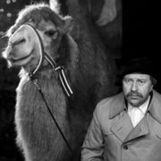 Duże zwierzę - galeria zdjęć - filmweb