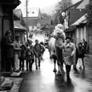 Duże zwierzę - galeria zdjęć - filmweb