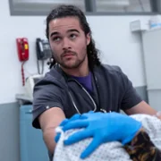 The Pitt - galeria zdjęć - filmweb