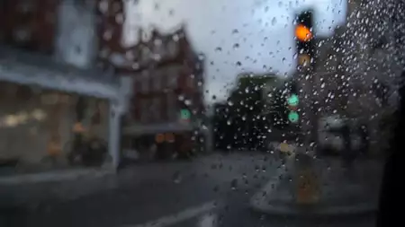 Delegacja - galeria zdjęć - filmweb