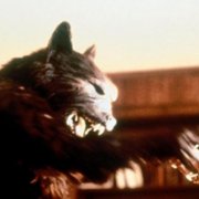 Silver Bullet - galeria zdjęć - filmweb