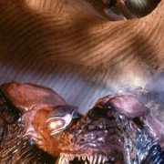 Invaders from Mars - galeria zdjęć - filmweb