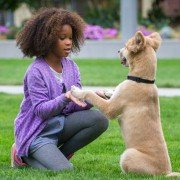 Annie - galeria zdjęć - filmweb