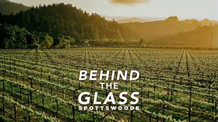 Behind the Glass - galeria zdjęć - filmweb
