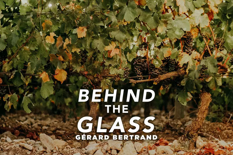 Behind the Glass - galeria zdjęć - filmweb