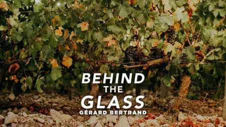 Behind the Glass - galeria zdjęć - filmweb