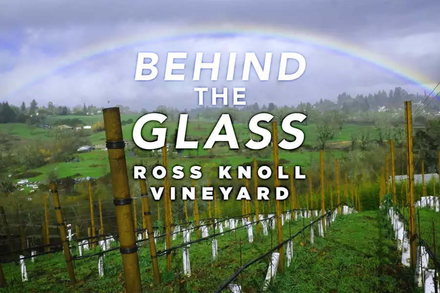 Behind the Glass - galeria zdjęć - filmweb