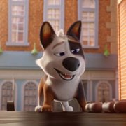 Trouble - galeria zdjęć - filmweb