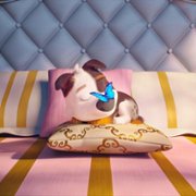 Trouble - galeria zdjęć - filmweb