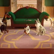 Trouble - galeria zdjęć - filmweb