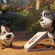 Trouble - galeria zdjęć - filmweb