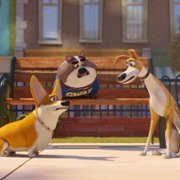 Trouble - galeria zdjęć - filmweb