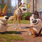 Trouble - galeria zdjęć - filmweb