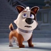 Trouble - galeria zdjęć - filmweb